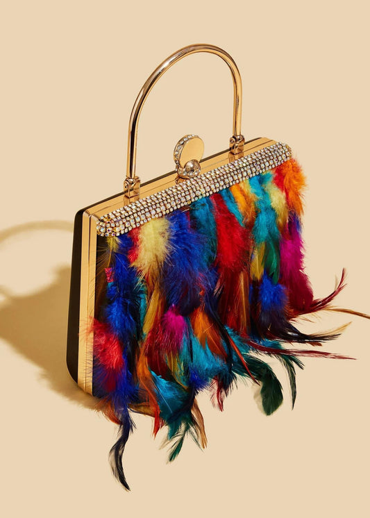 Multicolor Feather Purse